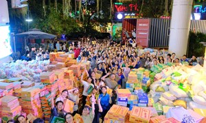 Thành phố Hồ Chí Minh đã tiếp nhận gần 245 tỷ đồng ủng hộ đồng bào bị thiên tai